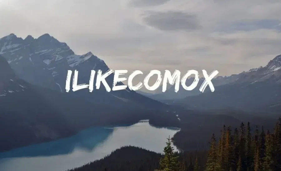 How Ilikecomox Can Help Streamline Your Business Processes