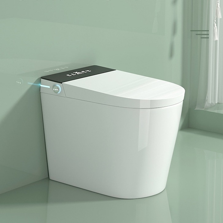 Elongated Smart Toilet